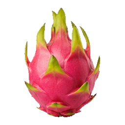Dragon Fruit — front character