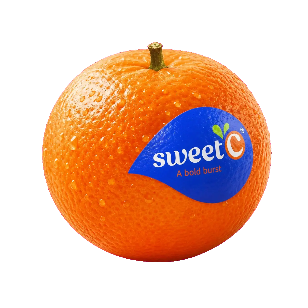 Premium Mandarin protected through the cold chain