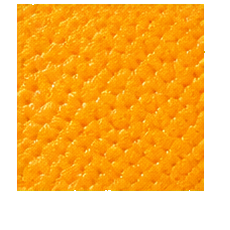Oranges — surface study