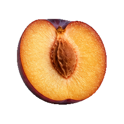 Plums — prepared half