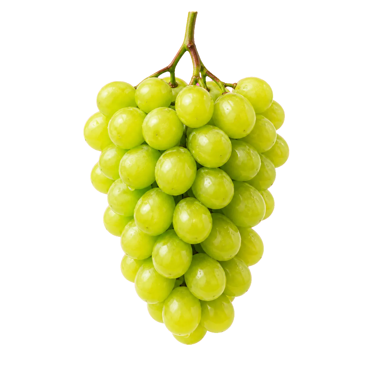 Premium green grapes