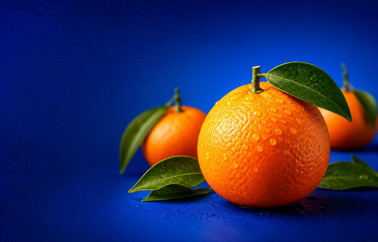 Premium SweetC mandarin presented for the 2026 seasonal programme